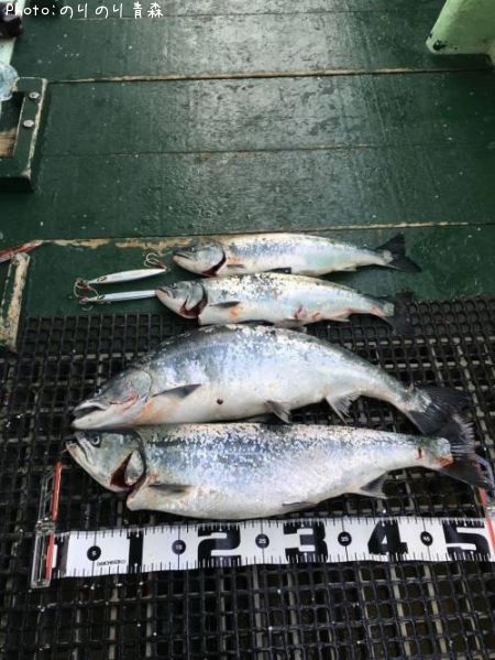 ������ޥ�