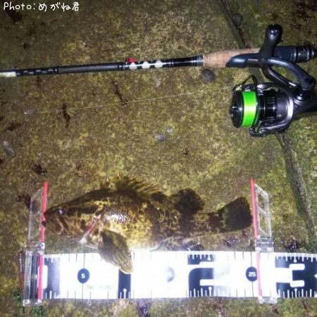 �����Υ���Х�