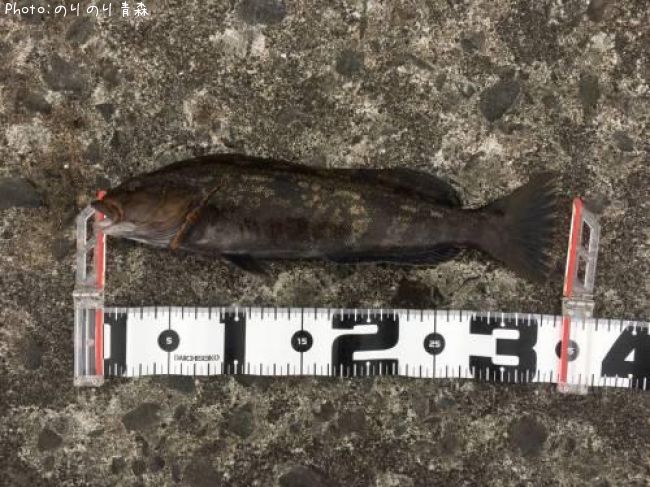 �����ʥ�