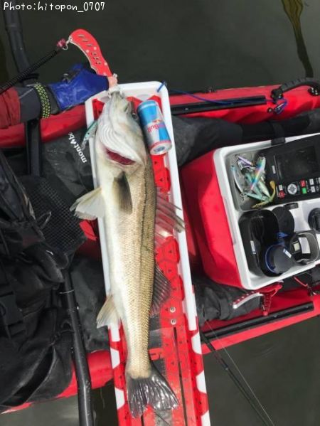 �����Х�