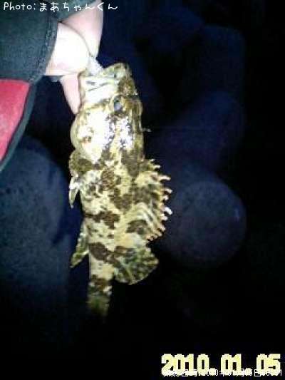 �����Υ���Х�