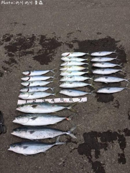 ��饵�����ʥ�