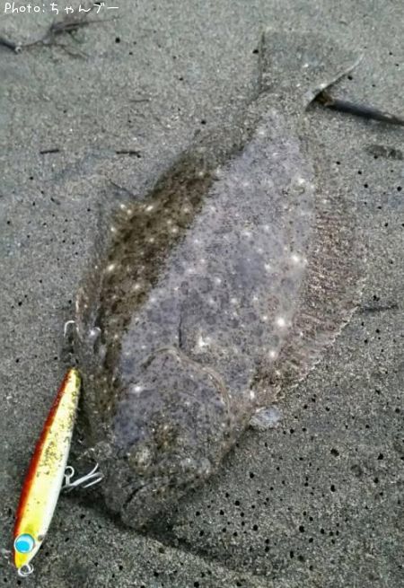 �ҥ��ʥ�����