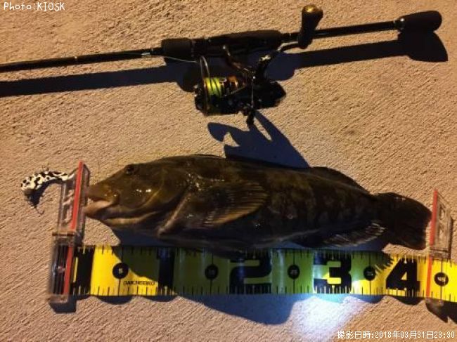 �����ʥ�