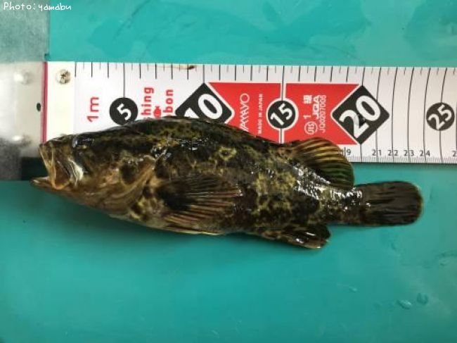 �����Υ���Х�