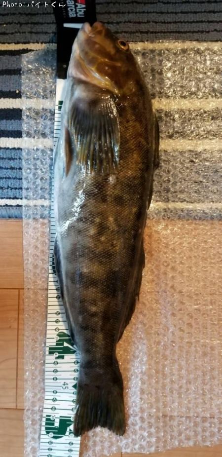 �����ʥ�