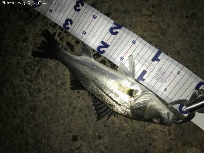 �����Х�