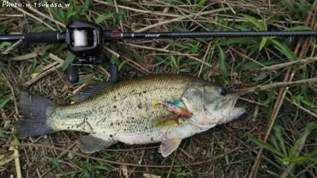 �֥�å��Х�