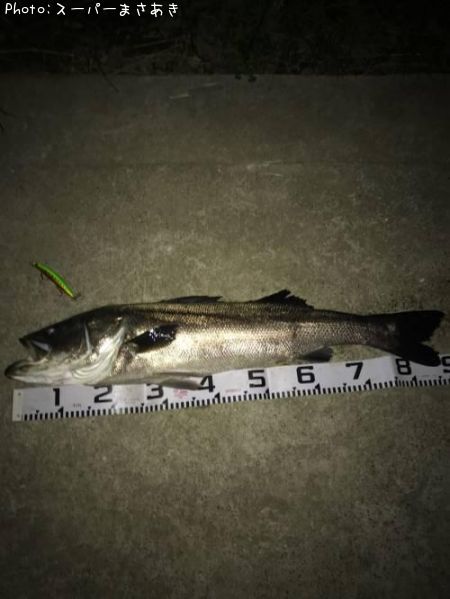 �����Х�