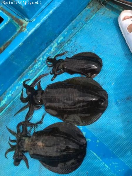 �����ꥤ��