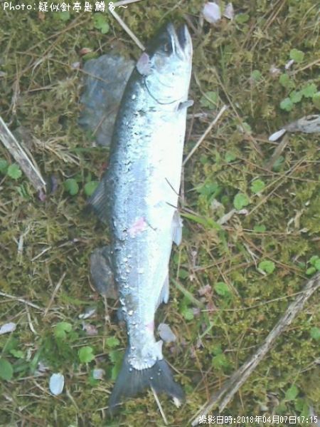 ���ĥ��ޥ�