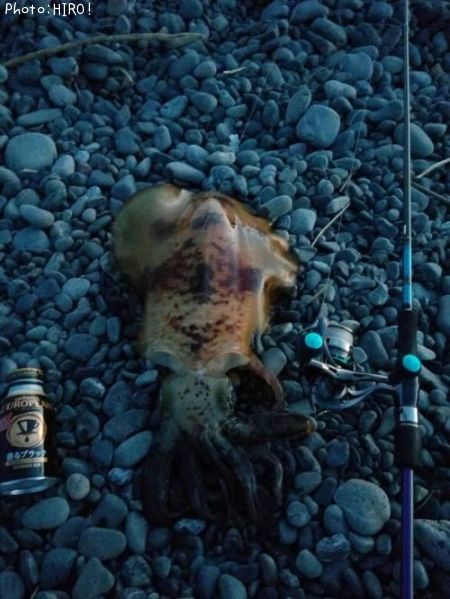 �����ꥤ��