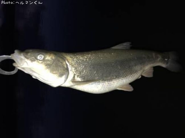 �ޥ륿������