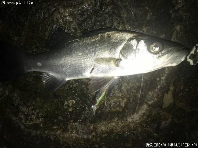 �ҥ饻����