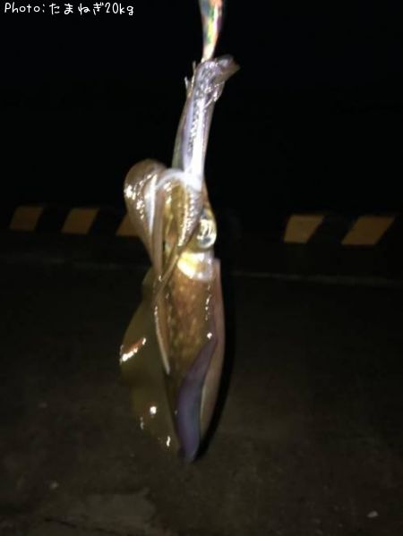 �����ꥤ��