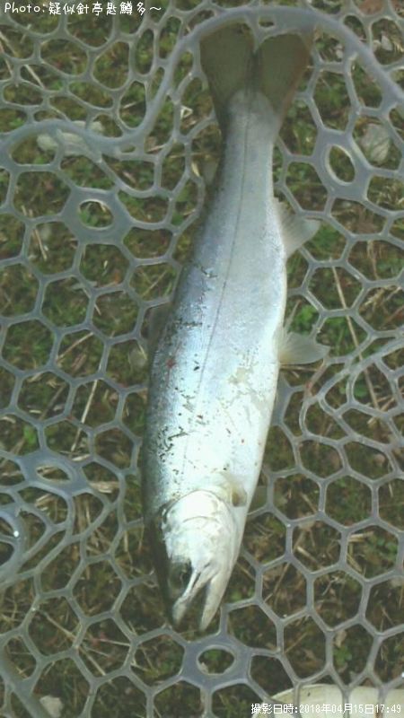 ���ĥ��ޥ�