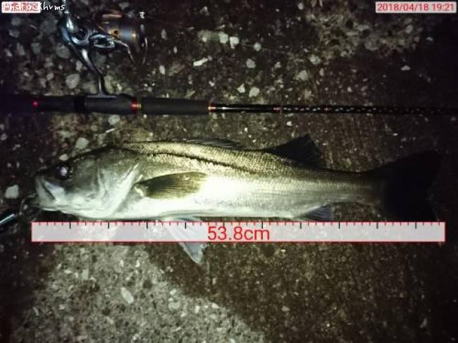 �����Х������Υ���