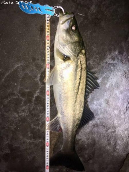 �����Х�