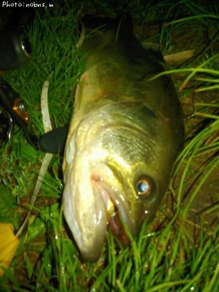 �֥�å��Х�