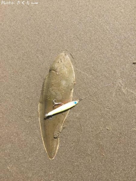 �����ӥ��