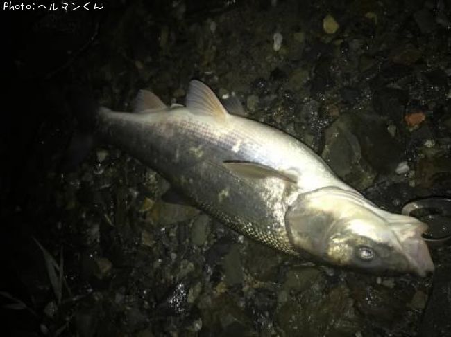 �ޥ륿������