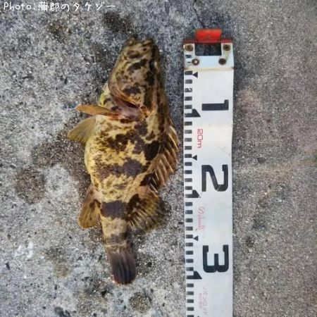 �����Υ���Х�