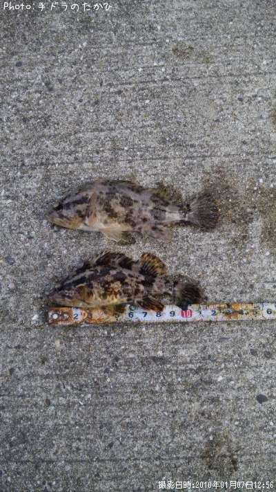 �����Υ���Х�