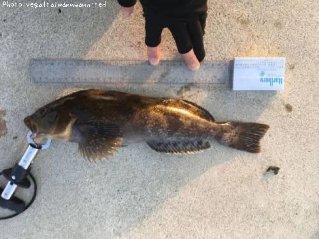 �����ʥ�