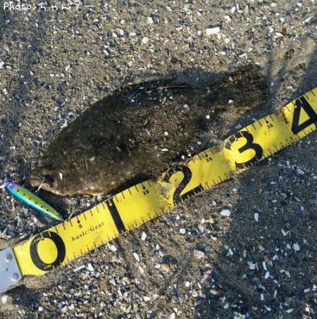 �ҥ��ʥ�����