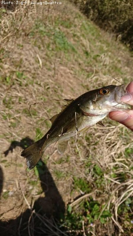 �֥�å��Х�