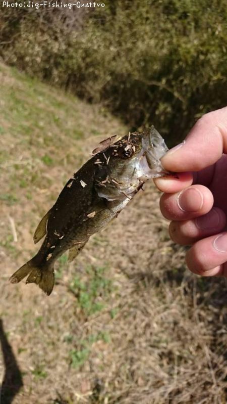 �֥�å��Х�