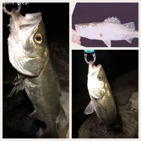 �����Х�