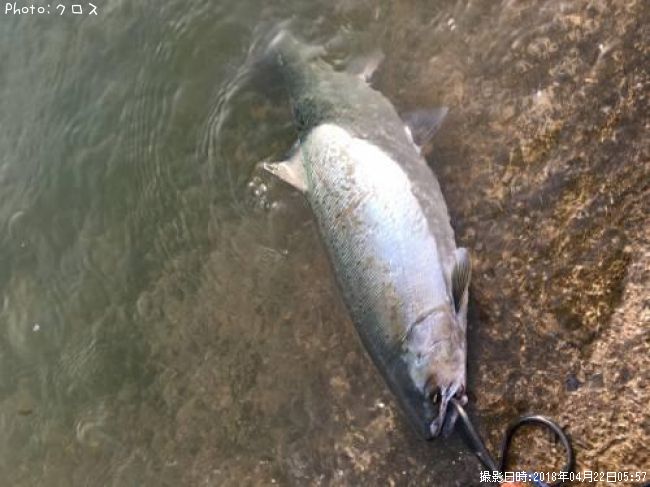 ������ޥ�