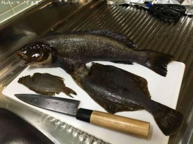 �����ʥ�����쥤