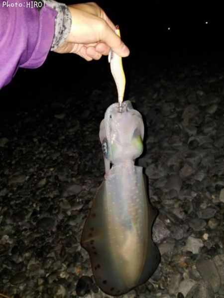 �����ꥤ��