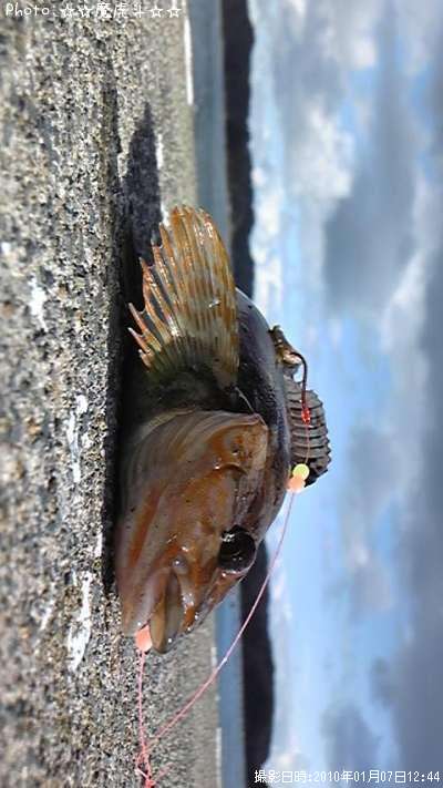 �����ʥ�