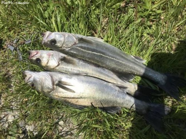 �����Х�