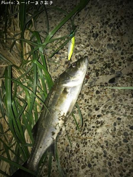 �����Х�