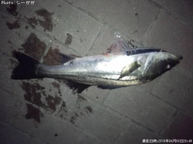 �����Х�