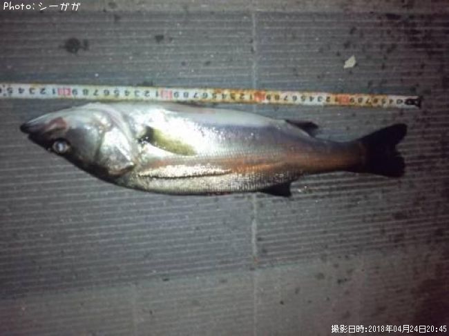 �����Х�