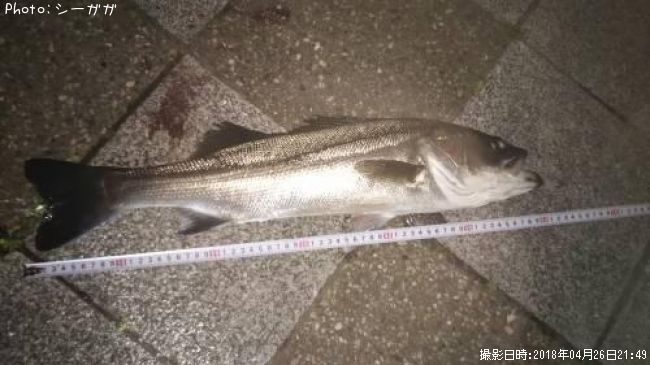 �����Х�