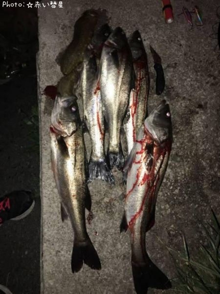 �����Х�