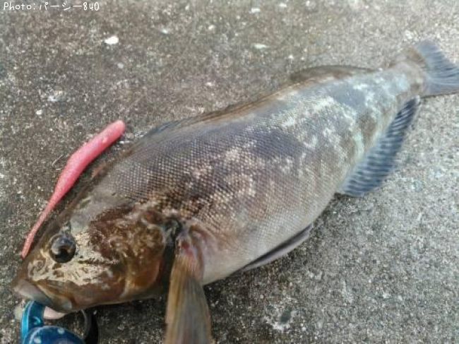 �����ʥ�