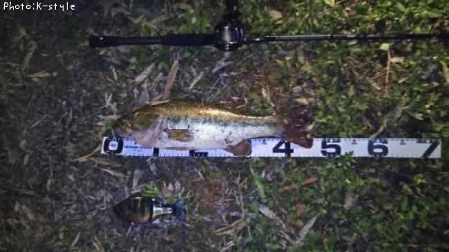 �֥�å��Х�