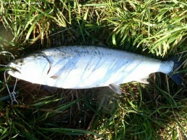 ������ޥ�