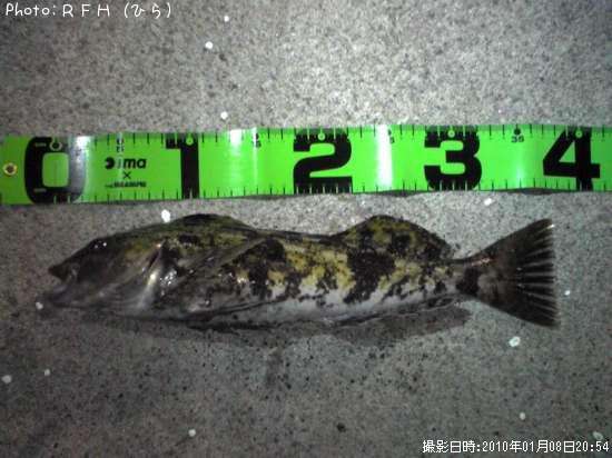 �����ʥ�