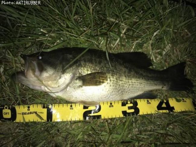 �֥�å��Х�