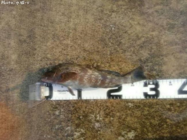 �����ʥ�