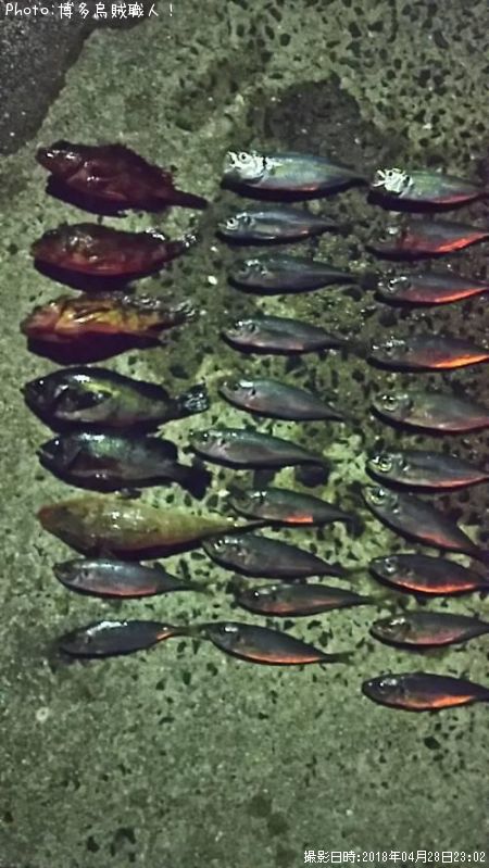 ����������������Х롢�ޥ���