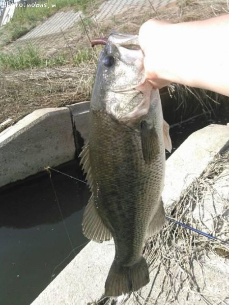 �֥�å��Х�